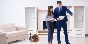 Propriétaire Non Occupant