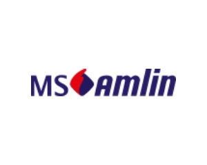MS Amlin
